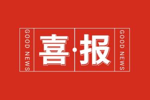 喜报！华体会(中国)集团党支部书记、总裁陈文舒荣登“2024人力资源服